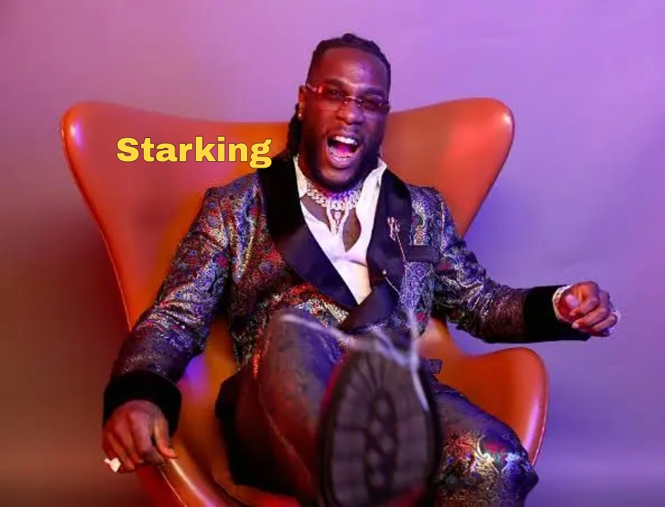 Afrobeats is nothing, lacks substance — Burna&nbsp;Boy